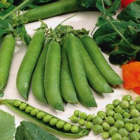 Dalvay Peas